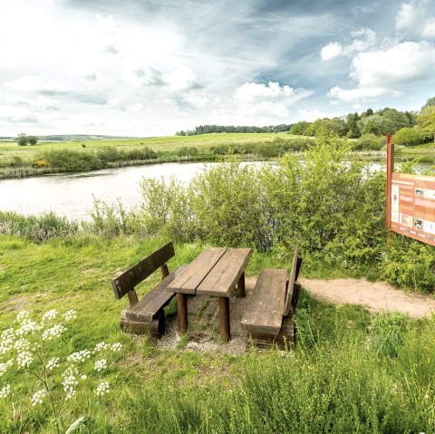 Eichholzmaar sur le sentier volcanique, © Eifel Tourismus GmbH, Dominik Ketz