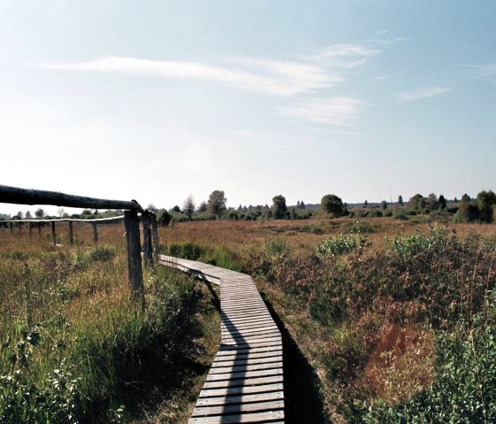 Natupark Hohes Venn