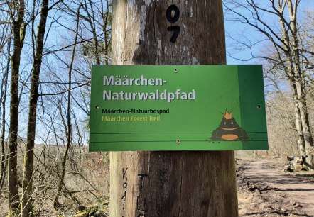 Mäarchen Naturwaldpfad, © GesundLand Vulkaneifel