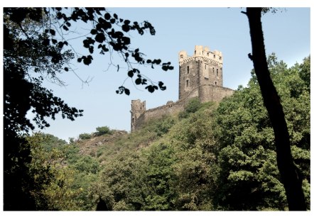 Blick auf burg Wernerseck