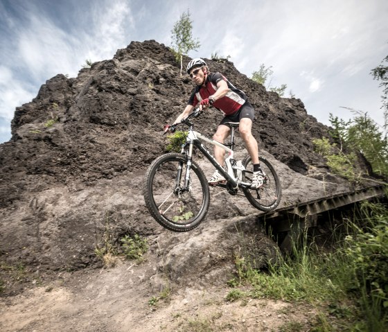 Technikparcours Koulshore im Trailpark Vulkaneifel, © Rheinland-Pfalz Tourismus GmbH, D. Ketz