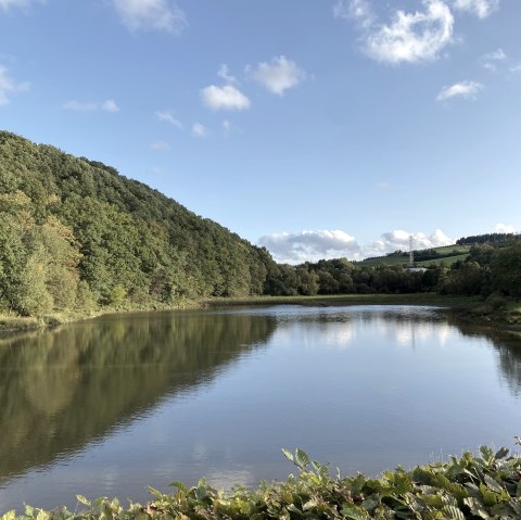 Wirftstausee Stadtkyll, © Touristik GmbH Gerolsteiner Land, Leonie Post