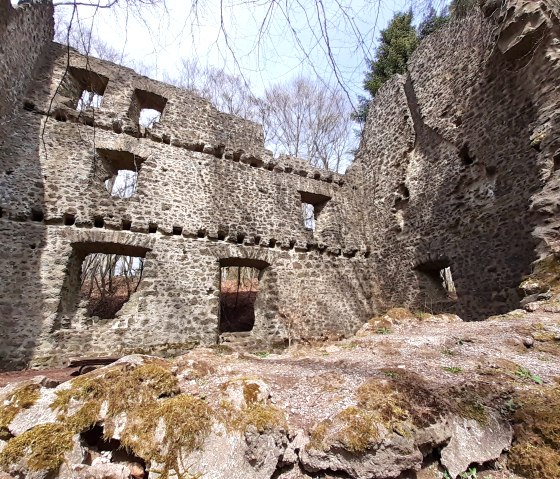 Ruines du château de Freudenkoppe, © Touristik GmbH Gerolsteiner Land, Ute Klinkhammer