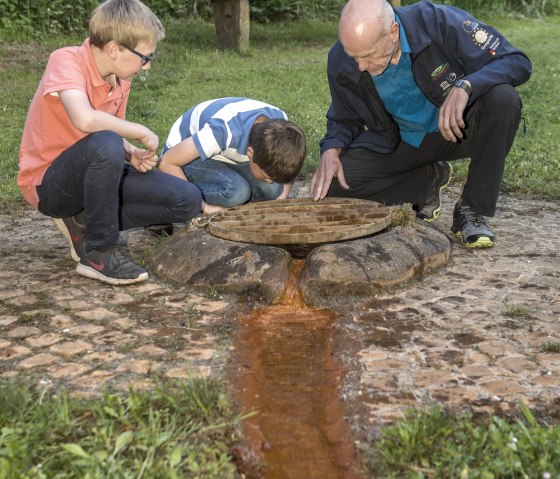 Geeser Drees, © Natur- und Geopark Vulkaneifel