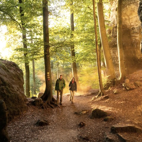 Herbstliche Wanderung durch die Eifel, © Eifel Tourismus GmbH, D. Ketz