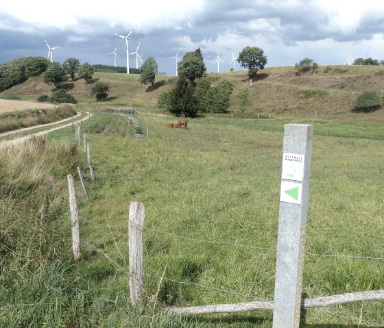 Westwall-Wanderweg Ost bei Kesfeld, © Tourist-Info Islek