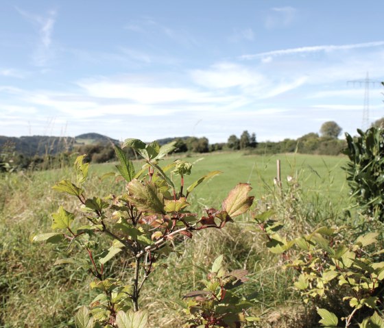 Haus Sonne_Aussicht