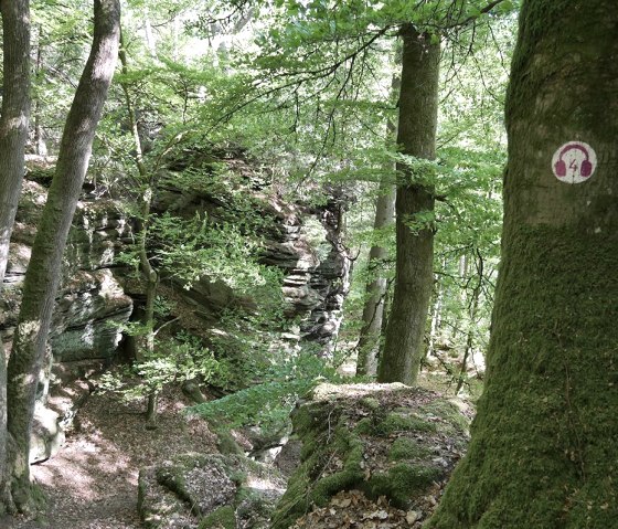 Markierung Lauschtour Grüne Hölle, © Felsenland Südeifel Tourismus GmbH, Elke Wagner