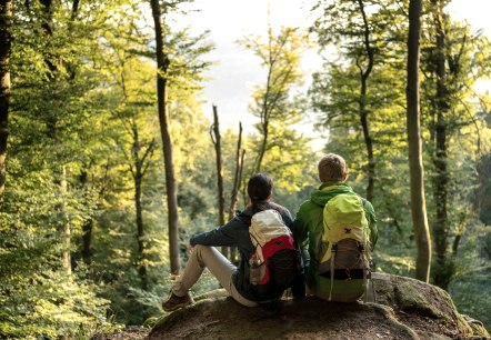 Herbst im NaturWanderPark delux, © Eifel Tourismus GmbH, D. Ketz