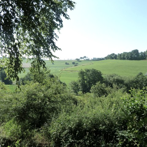 Panoramablick bei Bleialf, © Tourist-Information Prümer Land