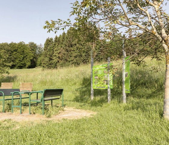 Sitzgruppe an der Lieserquelle bei Boxberg, © Eifel Tourismus GmbH, AR - shapefruit AG