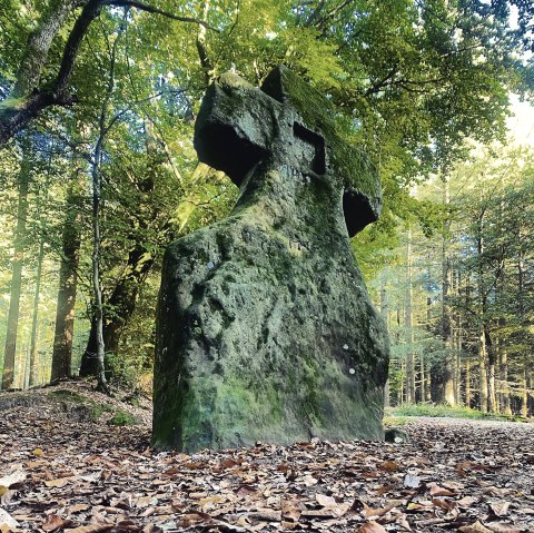 Fraubillenkreuz, © Felsenland Südeifel Tourismus GmbH / Anna Carina Krebs