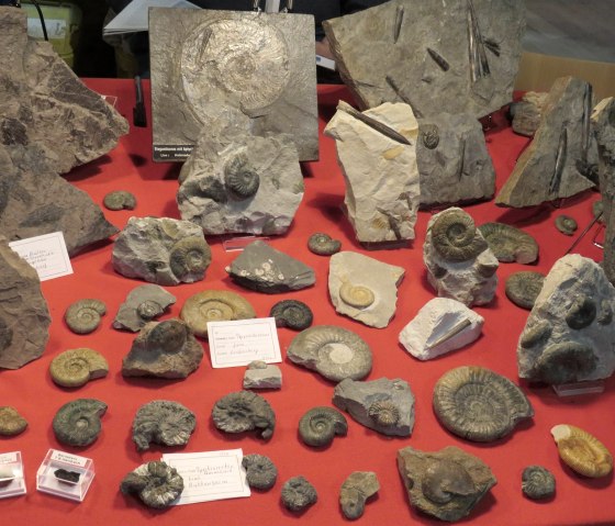 Fossilien und Mineralien, © Eifelgemeinde Nettersheim