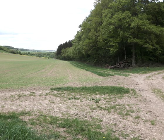 Beschilderung Wanderweg Newel, © Alexa Hansen