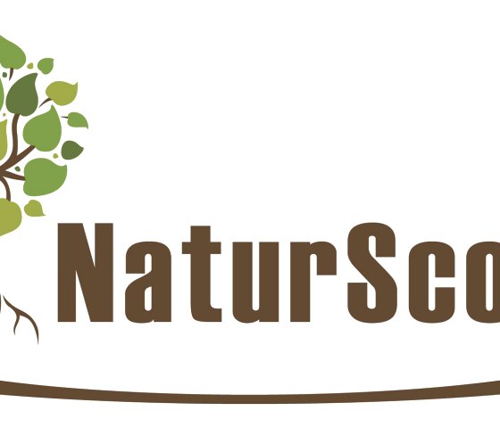 NaturScout, © Wildnisschule Natur-Scout