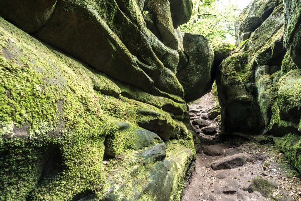 Felsen bei der Teufelsschlucht, Felsenweg 6, © Rheinland-Pfalz Tourismus GmbH/D. Ketz