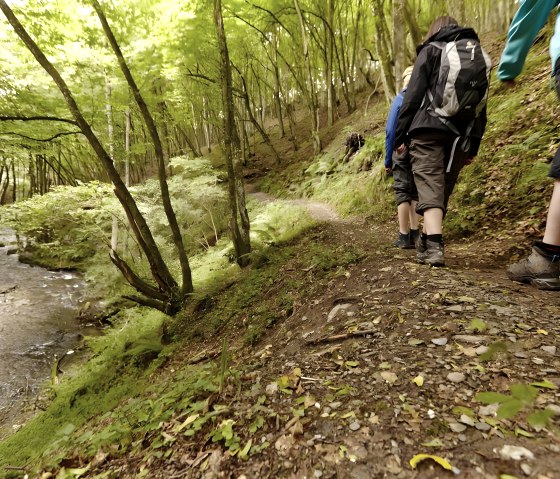 Wandeling, © GesundLand Vulkaneifel