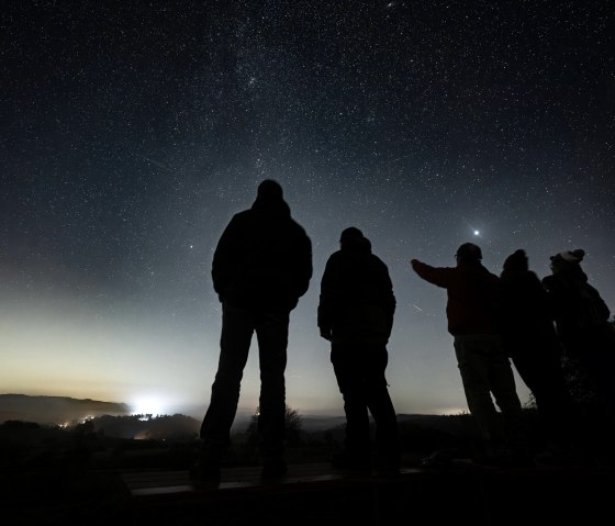 Observation des étoiles la nuit, © Nils Noell