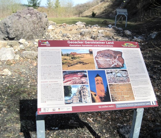 Infotafel Geoacker - Sandstein, Buntsandstein, © Touristik GmbH Gerolsteiner Land, Ute Klinkhammer