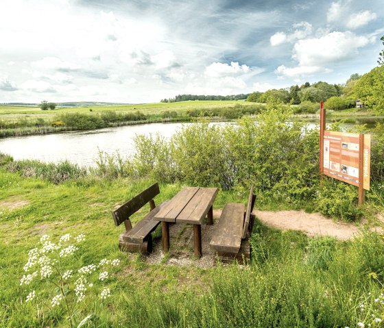 Eichholzmaar am Vulkanpfad, © Eifel Tourismus GmbH, Dominik Ketz