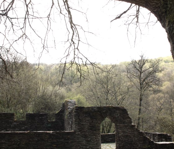 Blick über die Klosteruine, © Laura Rinneburger