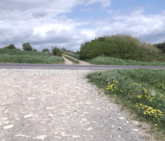 sentier Newel, © Alexa Hansen