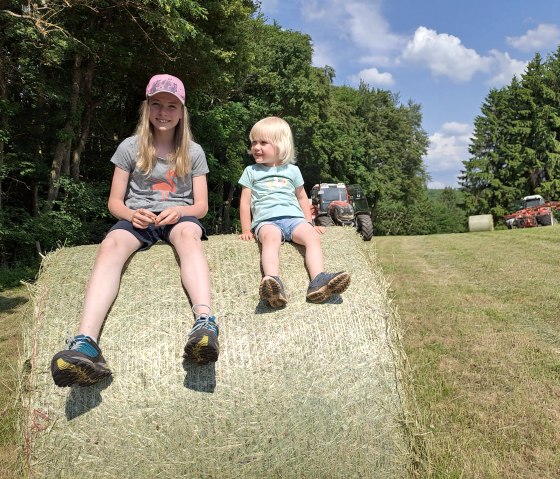 Ferien auf dem Hoffmann-Hof, © Nordeifel Tourismus GmbH & Hoffmann-Hof