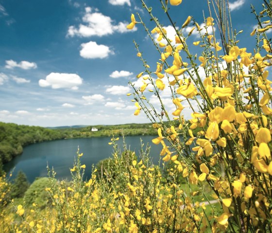 Weinfelder Maar, © GesundLand Vulkaneifel/D. Ketz