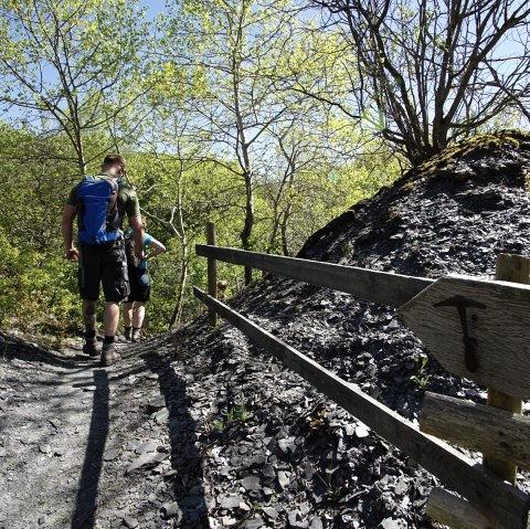 Aus der Schiefergrube in Richtung Elzbach, © Laura Rinneburger