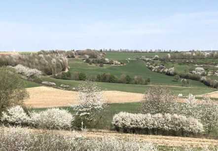 Blick in Richtung Fließem, © Tourist-Information Bitburger Land_Uschi Hallet