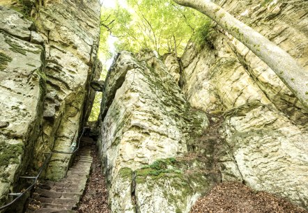 Natur Eifel: Teufelsschlucht im Naturpark Südeifel, © Rheinland-Pfalz Tourismus GmbH/D. Ketz