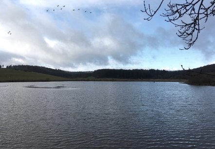 Sangweiher, Mehren, © Gesundland Vulkaneifel GmbH