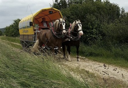 Planwagenfahrt Eifelkutsche (2), © Barger