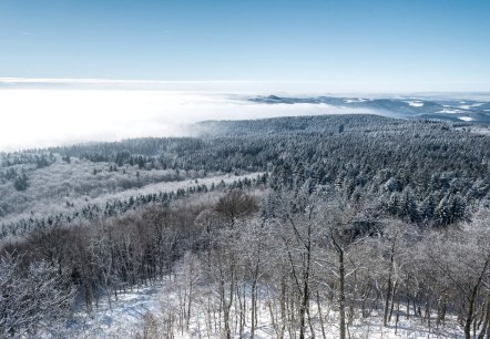 Ausblick von der Hohen Acht, © Rheinland-Pfalz Tourismus GmbH, D. Ketz