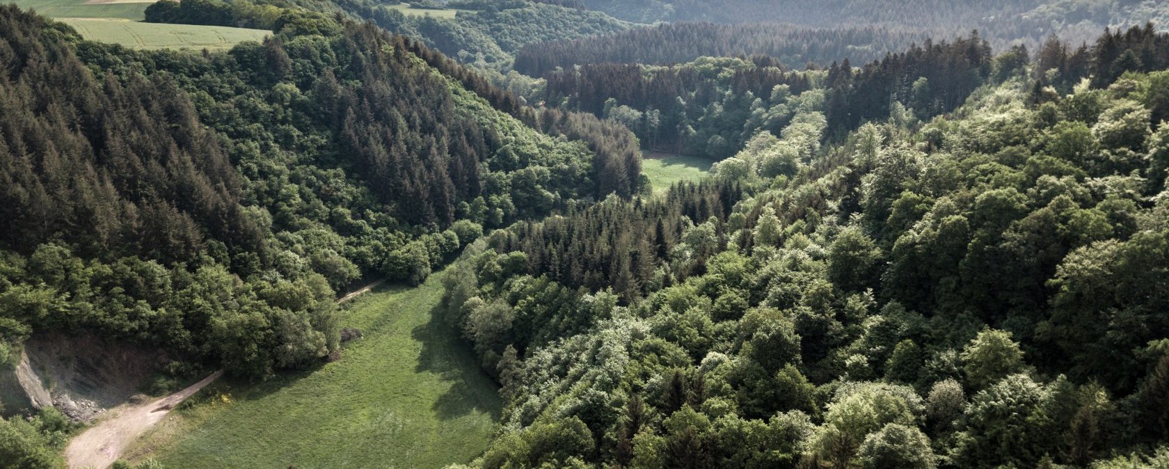 Panorama ins Salmtal, © Eifel Tourismus GmbH, Dominik Ketz