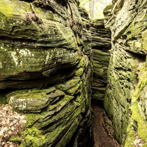 ET-2023-173-Bollendorf_Lauschtour_Grune_Holle-Eifel_Tourismus_GmbH_Dominik_Ketz, © Eifel Tourismus GmbH, Dominik Ketz