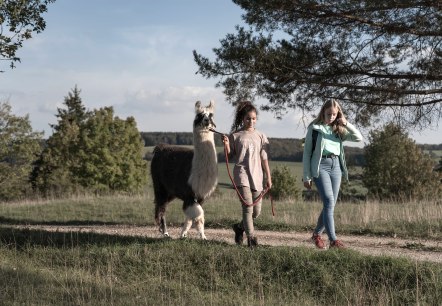 Lama-Wanderung durch die Schönecker Schweiz, © Eifelnomaden, Julietta Baums