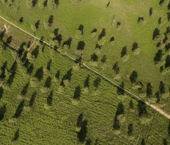 Die Struffelt Heide, © Eifel Tourismus GmbH, Dominik Ketz