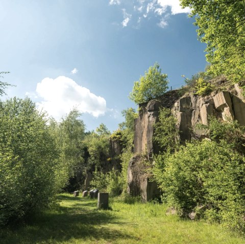 Vulkanparkstation Mayener Grubenfeld, Felswand, © Rheinland-Pfalz Tourismus GmbH, D. Ketz