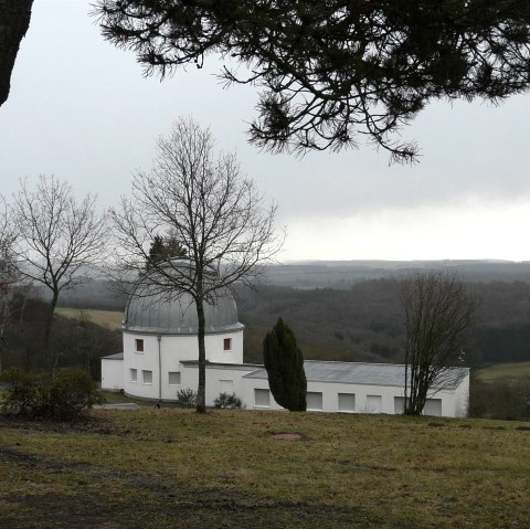 Hoher list hinterm Baum, © GesundLand Vulkaneifel