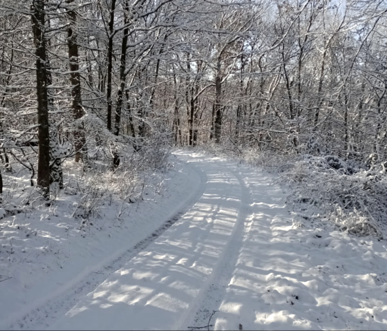 Bleckhausen Winterlandschaft