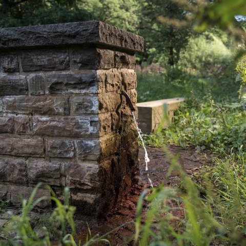 Josendrees Vulkaneifel, © Natur- und Geopark Vulkaneifel GmbH