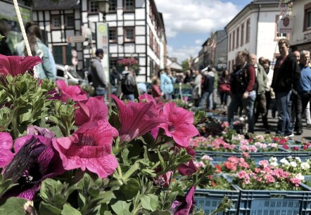 Blumen-, Kleintier- und Bauernmarkt, © Vereinskartell Kommern