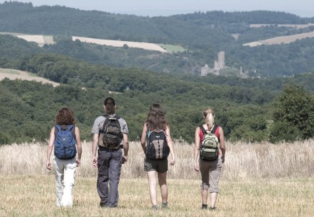 Aussicht auf die Burgruine Monreal, © Traumpfade/Kappest