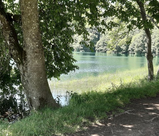 Weinfelder Maar