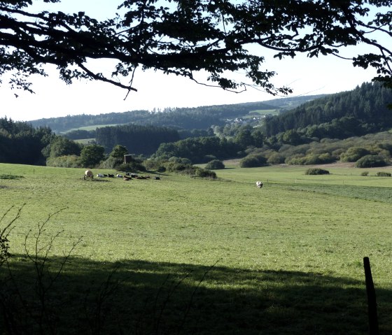 Vulkaanuitzicht Eifel, © Gesundland Vulkaneifel GmbH