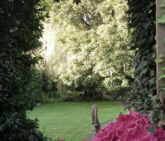 Uitzicht vanaf het terras naar de tuin, © Rainer Putz