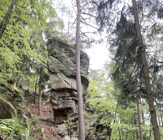 Predigtstuhl, © Felsenland Südeifel Tourismus GmbH, AC Krebs