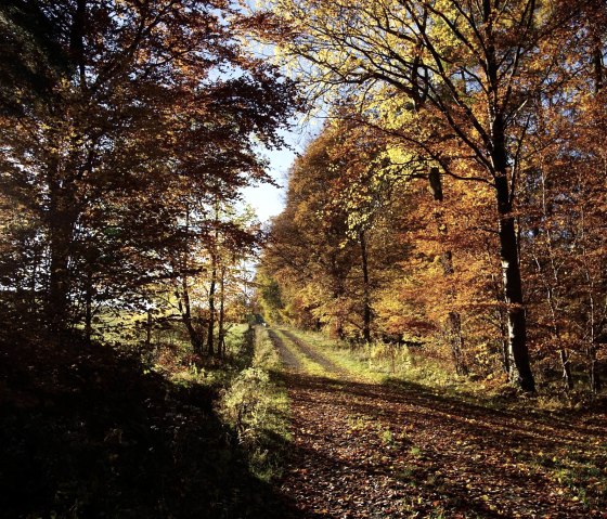 Indian Summer in Aremberg, © Bernd Hellgardt