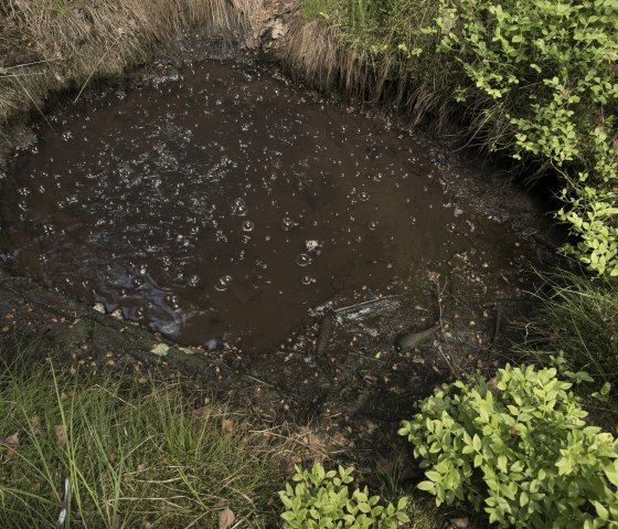 Kohlendioxidquelle Gelenberg, © Natur- und Geopark Vulkaneifel, KP Kappest